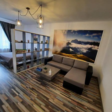 Ferienwohnung Croma Studio Petroşani Exterior foto