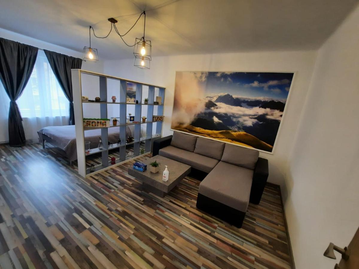 Ferienwohnung Croma Studio Petroşani Exterior foto