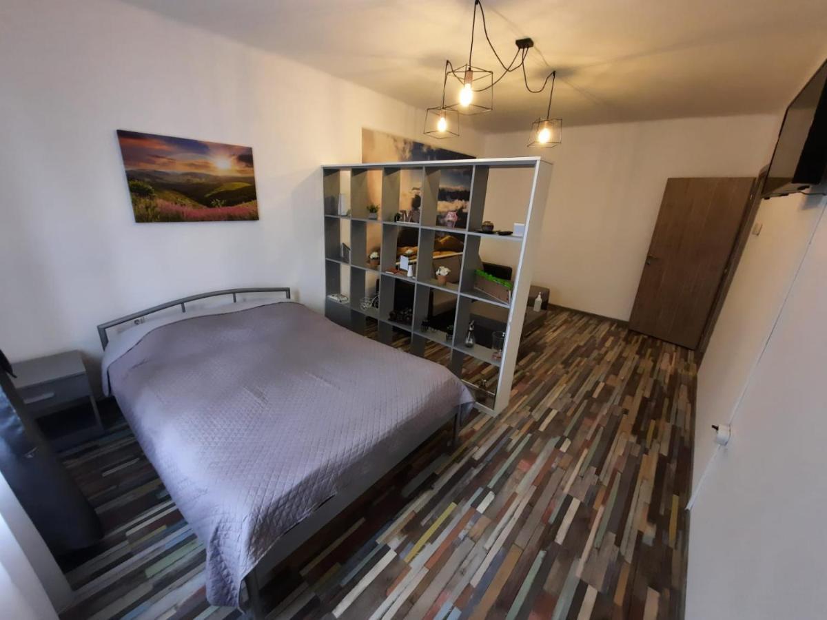 Ferienwohnung Croma Studio Petroşani Exterior foto