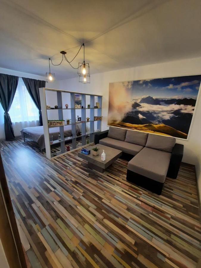 Ferienwohnung Croma Studio Petroşani Exterior foto