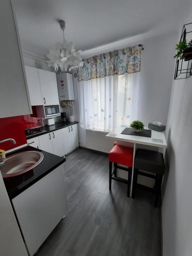 Ferienwohnung Croma Studio Petroşani Exterior foto
